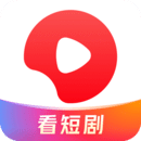 真丝女内裤图片价格