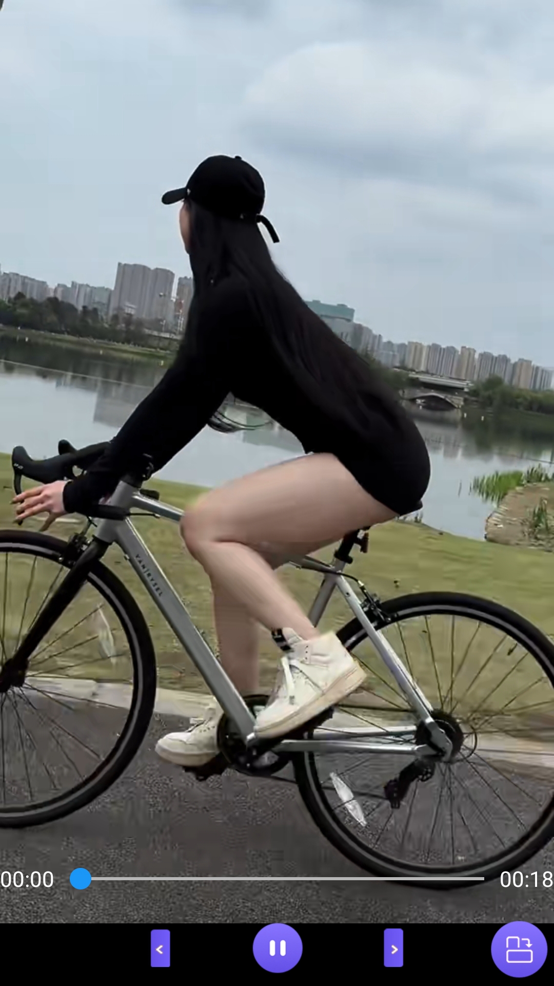 多腿动物名称截图